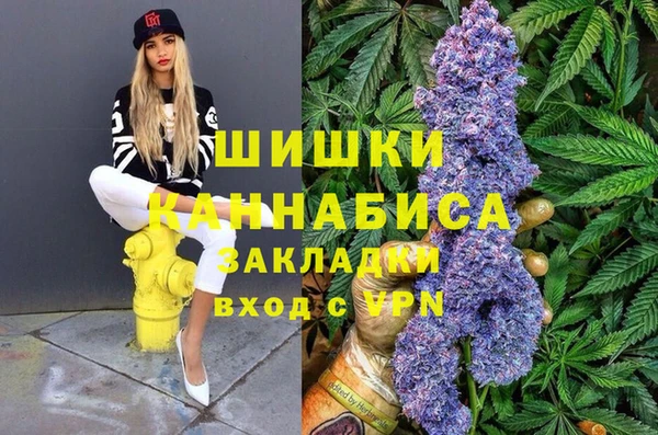 метадон Алексин