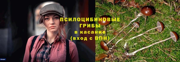 метадон Алексин