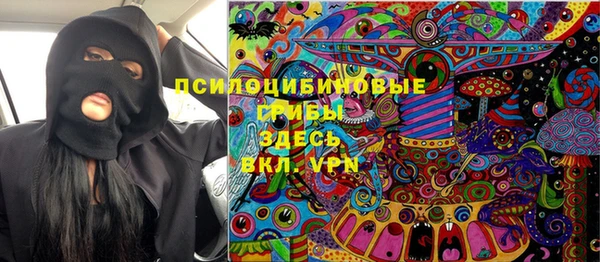 гидропоника Алзамай