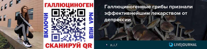 Псилоцибиновые грибы Cubensis  закладки  Евпатория 
