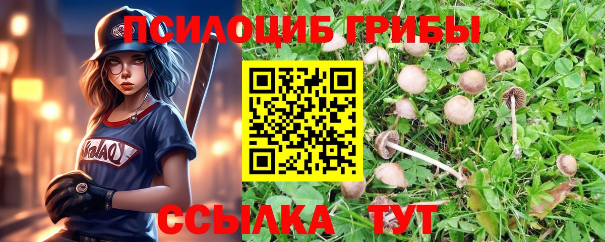 Псилоцибиновые грибы мицелий Евпатория