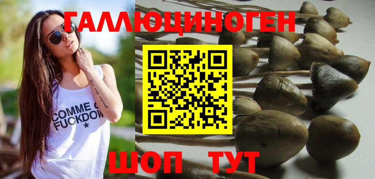 Евпатория  Псилоцибиновые грибы Psilocybe  Вход с VPN  Галлюциногенные грибы GOLDEN TEACHER 